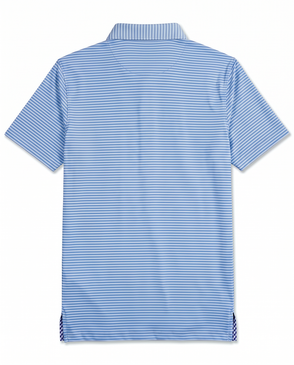 Albatross Polo Azure Blue/Bell Feeder Stripe back