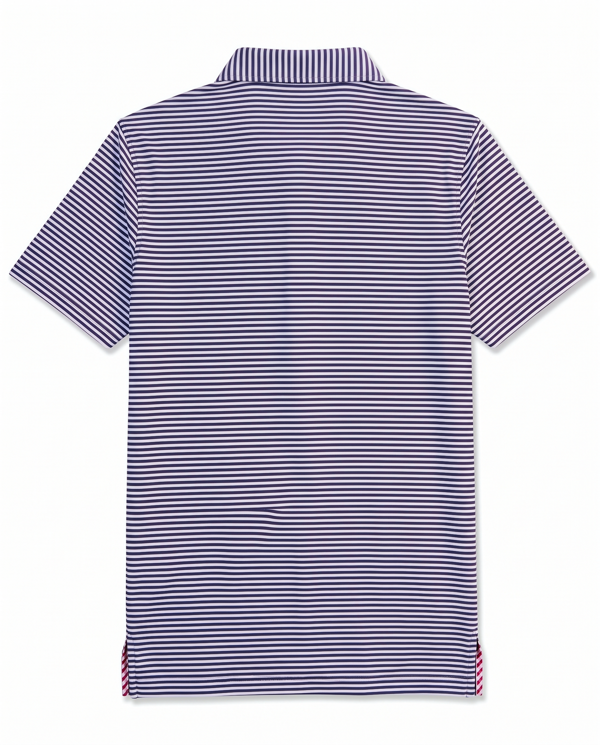 Albatross Polo Medieval/White Feeder Stripe back