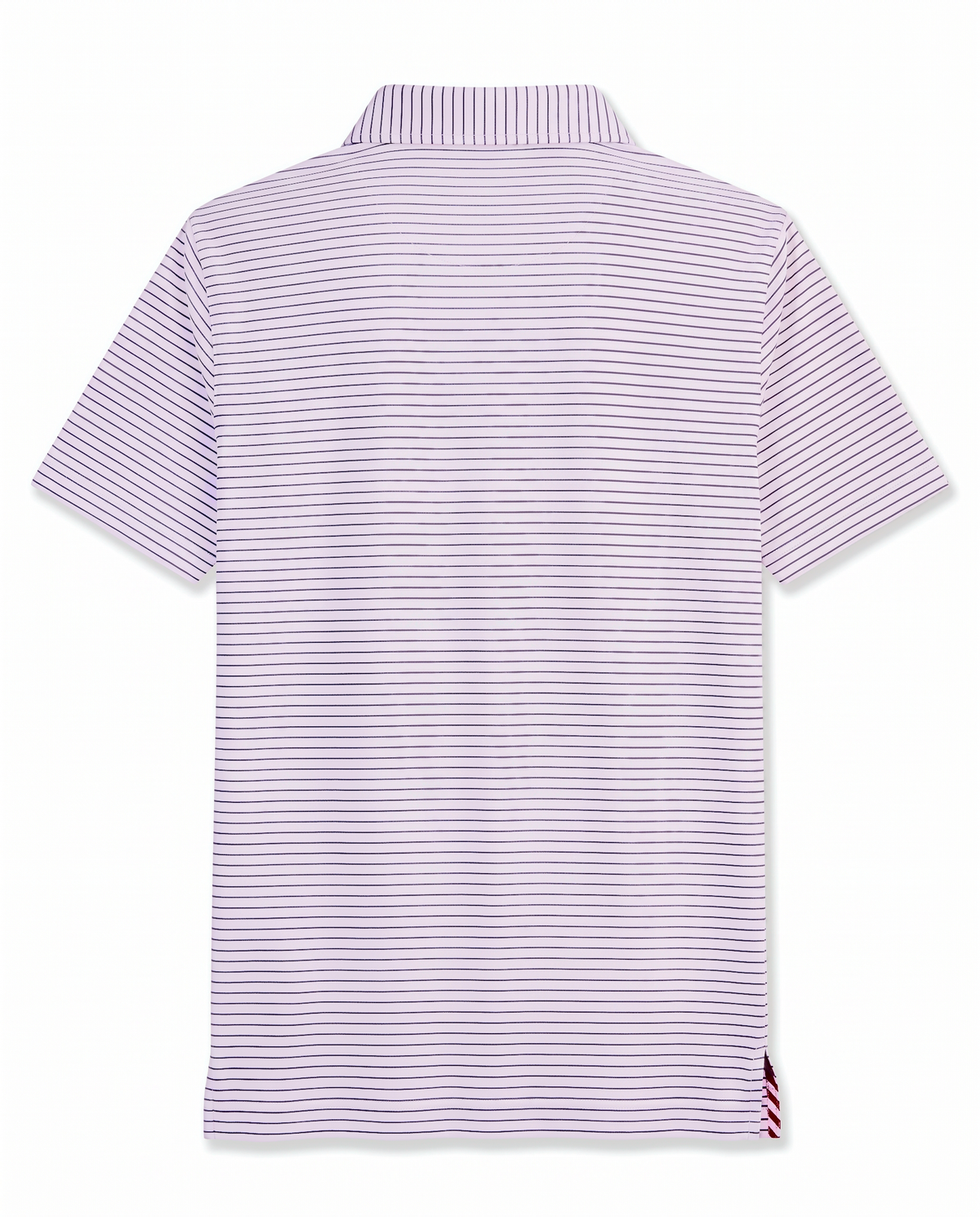 Albatross Polo Medieval/White Pinstripe back