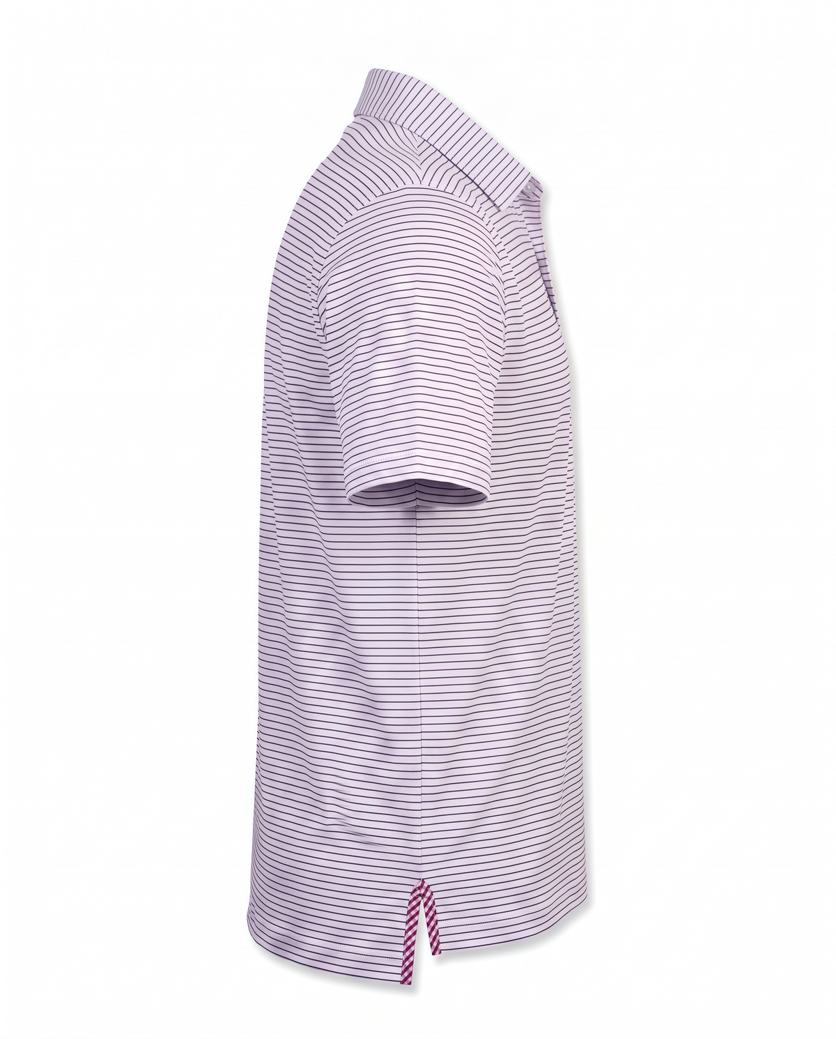 Albatross Polo Medieval/White Pinstripe side