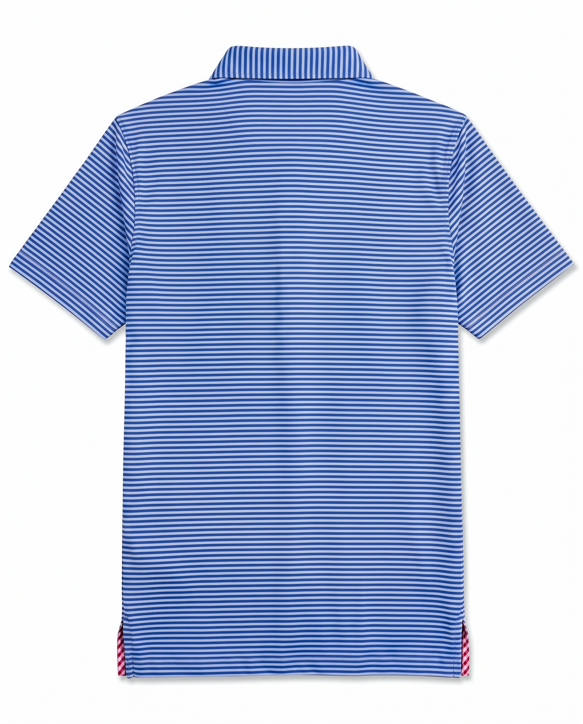 Albatross Polo Royal Blue/Bell Feeder Stripe back